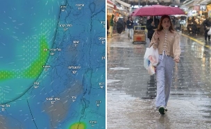 גשם תחזית (צילום: פלאש 90: חיים גולדברג | Windy.com)