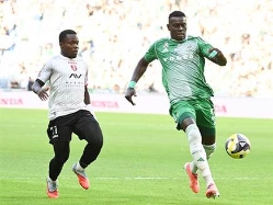 (ברני ארדוב) (צילום: ספורט 5)