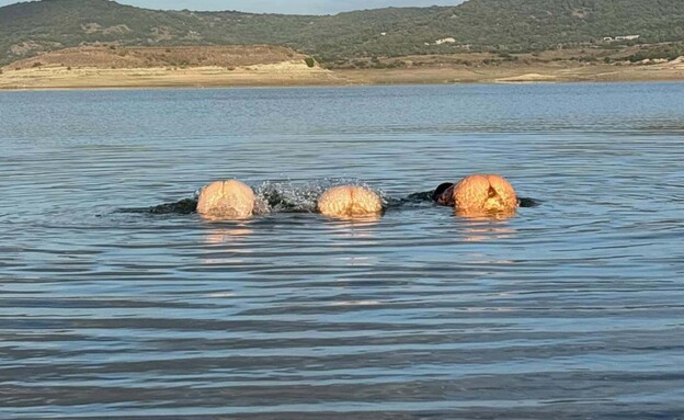 מייזי וויליאמס בתמונות חושפניות מייזי וויליאמס בתמונות חושפניות