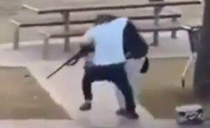 אדם נאבק באחד היורים בבונדי ביץ' בסידני אוסטרליה (צילום: לפי סעיף 27 א')