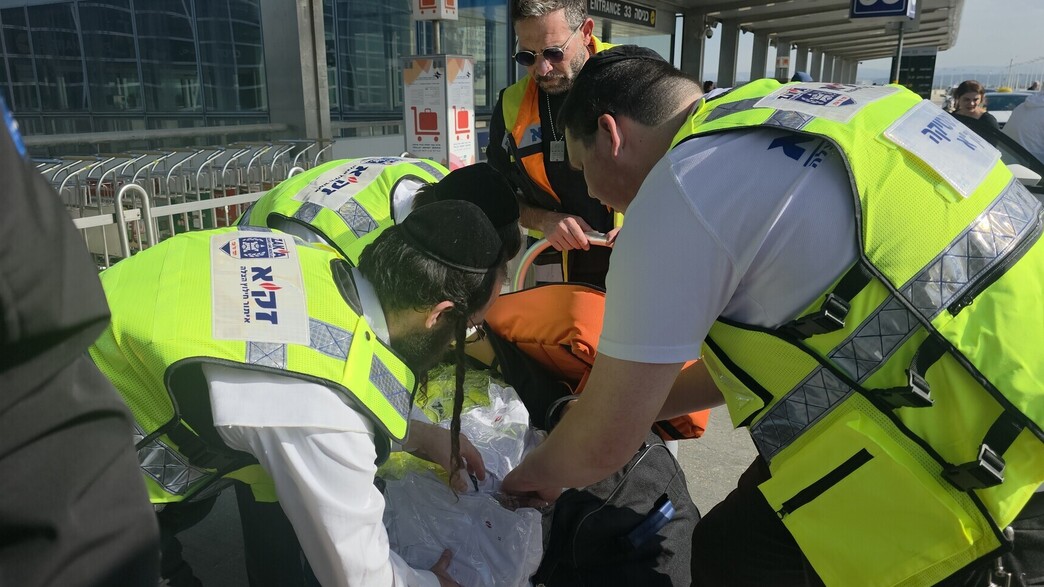 זקא בסידני זקא בסידני