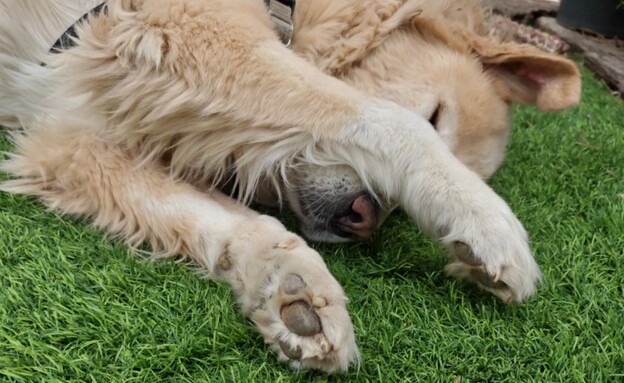 וואן פלוס 15 OnePlus וואן פלוס 15 OnePlus