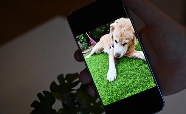 וואן פלוס 15 OnePlus וואן פלוס 15 OnePlus