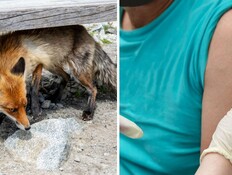המחלה המסוכנת מתפרצת - הרופאים מזהירים: "משחקים ברולטה"