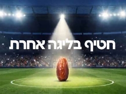 sportFive1644988 (צילום: ספורט 5)