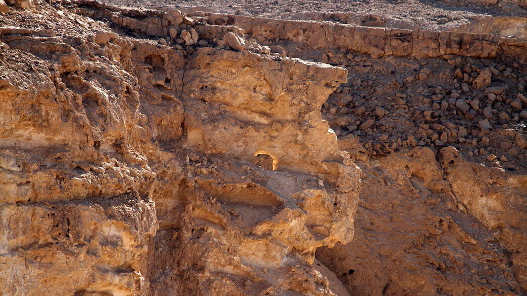הסנה הבוער הסנה הבוער