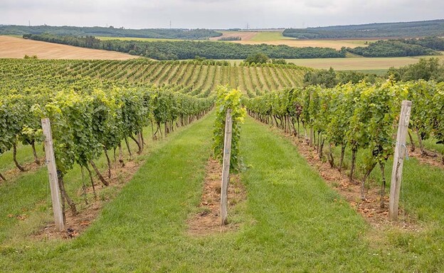 דרום מוראביה