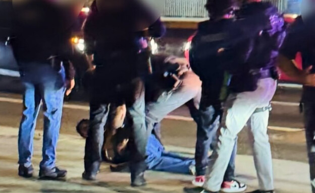 מעצר ניק ריינר - לשימוש מוגבל