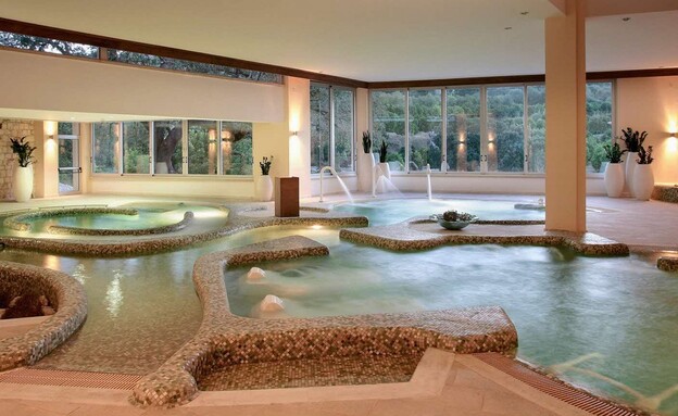 היער הסודי היער הסודי