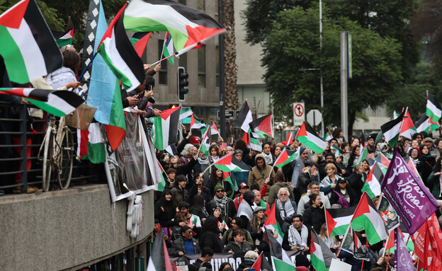 הפגנה פרו-פלסטינית צ'ילה הפגנה פרו-פלסטינית צ'ילה