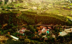 היער הסודי (צילום: ניר דוידזון, יחצ)