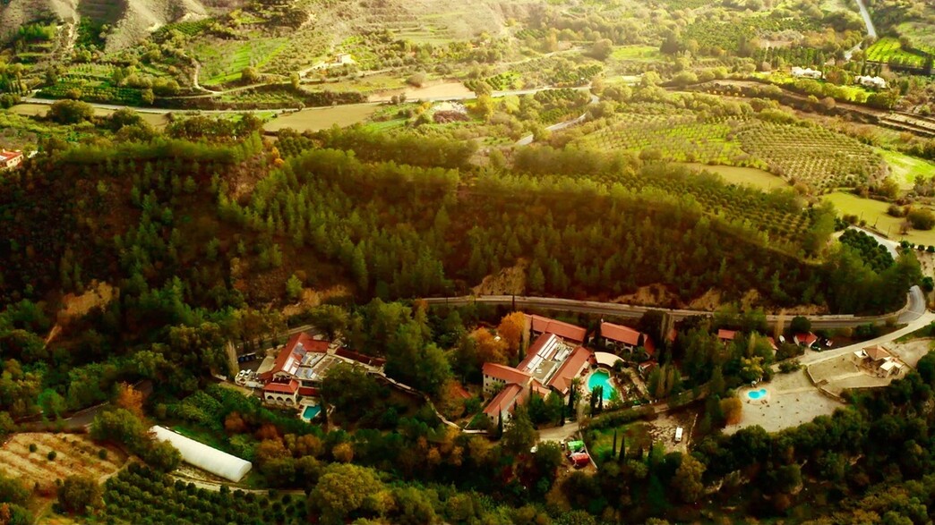 היער הסודי היער הסודי