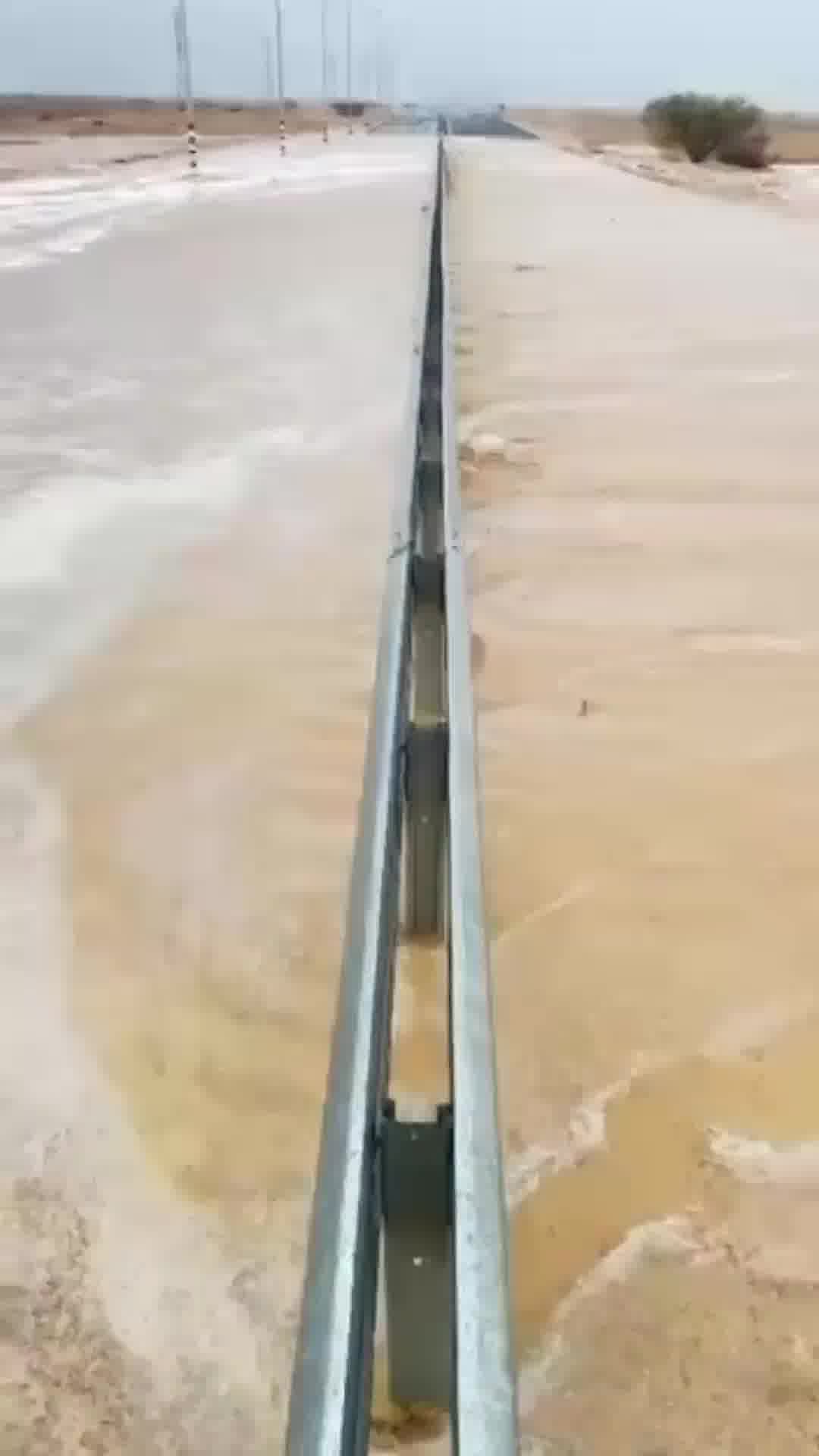 התחזית: ירידה בטמפרטורות - הגשם צפוי להתחדש בערב ולהביא לשיטפונות בנחלי הדרום