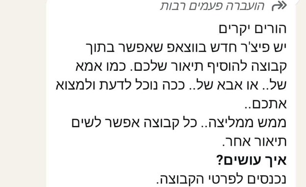 פיצ'ר הוספת תגי שם בוואטסאפ (צילום: whatsapp)