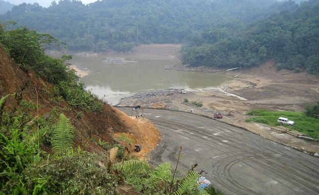 הג'ונגל במלזיה הג'ונגל במלזיה