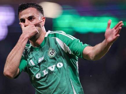 (מאור אלקסלסי) (מאור אלקסלסי)