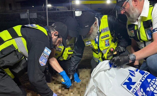 זק"א בסידני זק"א בסידני