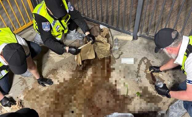 זק"א בסידני זק"א בסידני