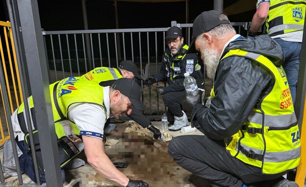 זק"א בסידני זק"א בסידני
