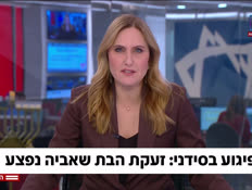 20zeaaka_vtr2_n20251217_v1 (צילום: חדשות)