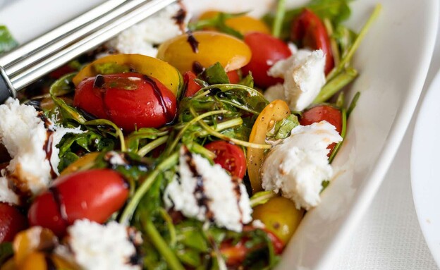 איטליה פוגשת את הנגב בפרוייקט ואדי עתיר איטליה פוגשת את הנגב בפרוייקט ואדי עתיר