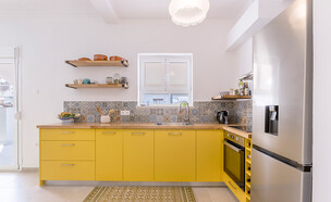 דירה באתונה ענבר בן צבי נורית נועה ירון  (צילום: מיכאיל דימסקוס )