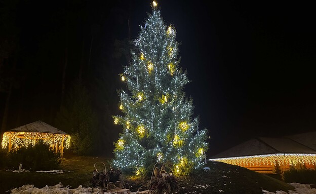 אספרנזה עץ כריסטמס וקצת שלג אספרנזה עץ כריסטמס וקצת שלג