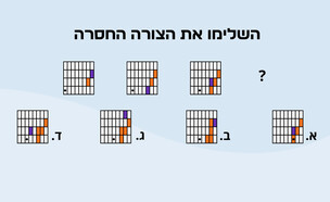 חידת המלבן הסגול (איור: הפרופסור הלא המפוזר)