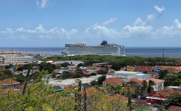 נורוויג'ן קורסאו קרוז נורוויג'ן קורסאו קרוז