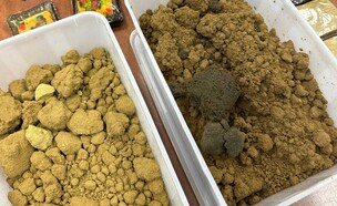 מעבדת החשיש ברחובות (צילום: דוברות המשטרה)