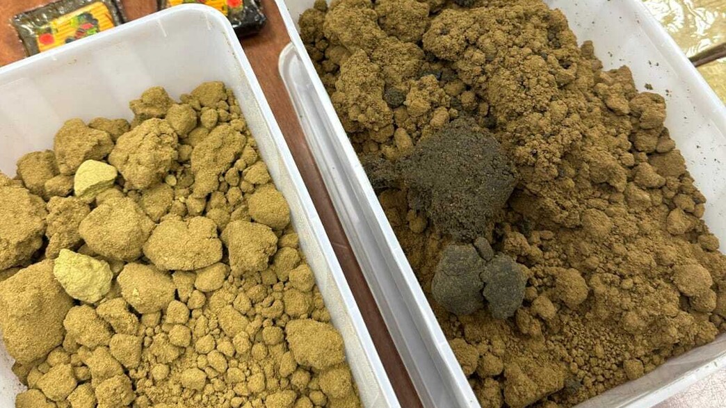 מעבדת החשיש ברחובות