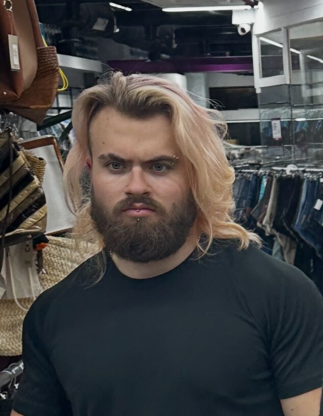 דוד מלינקוב דוד מלינקוב