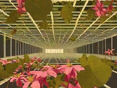 יצירה של האומן רונן תנחום