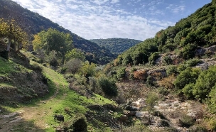 כזיב עליון חביס  (צילום: מירב טלמור-קשי)