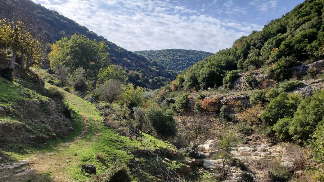 כזיב עליון חביס 
