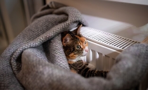 רדיאטור (צילום: shutterstock_DimaBerlin)