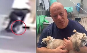 עופר מנדל, חטיפת כלבה (צילום: 27א')