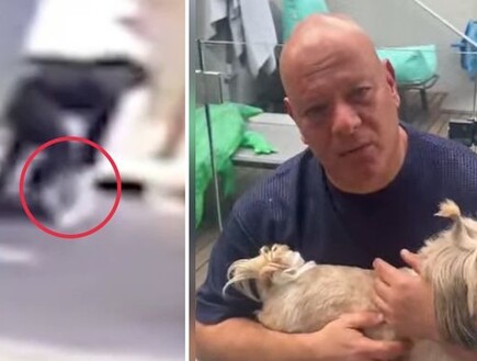 אירוע חריג בראשון לציון: הכלבה של שחקן העבר נחטפה