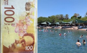 אילת, שטר מזויף של 100 שקל (צילום: ללא)