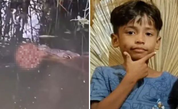 אפאן (צילום: מתוך הרשתות החברתיות לפי סעיף 27א׳ לחוק זכויות יוצרים)