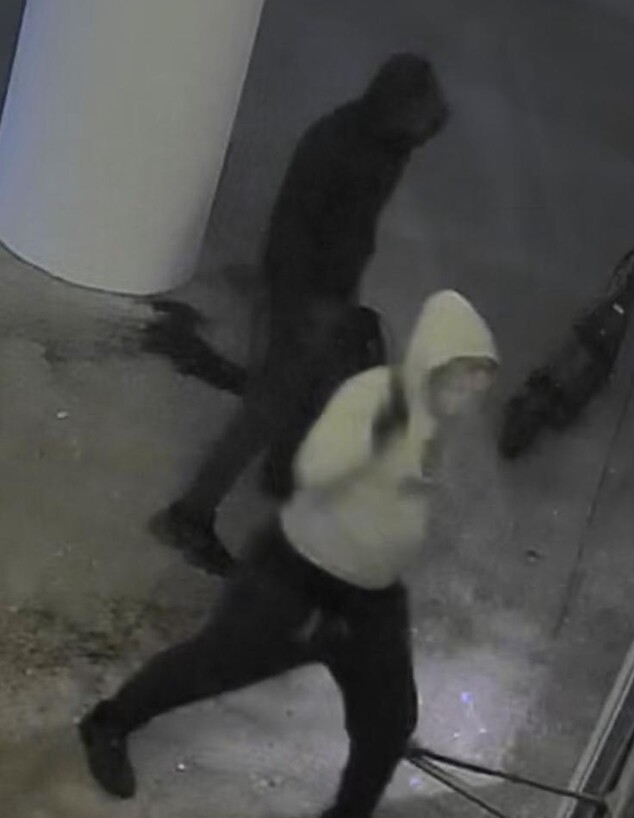 אלמונים השחיתו גלידריה בהרצליה