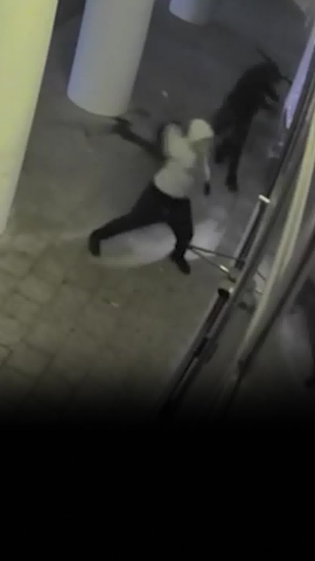 תיעוד: האלמונים רעולי הפנים שוברים את הזכוכיות ומשחיתים את הגלידרייה בהרצליה
