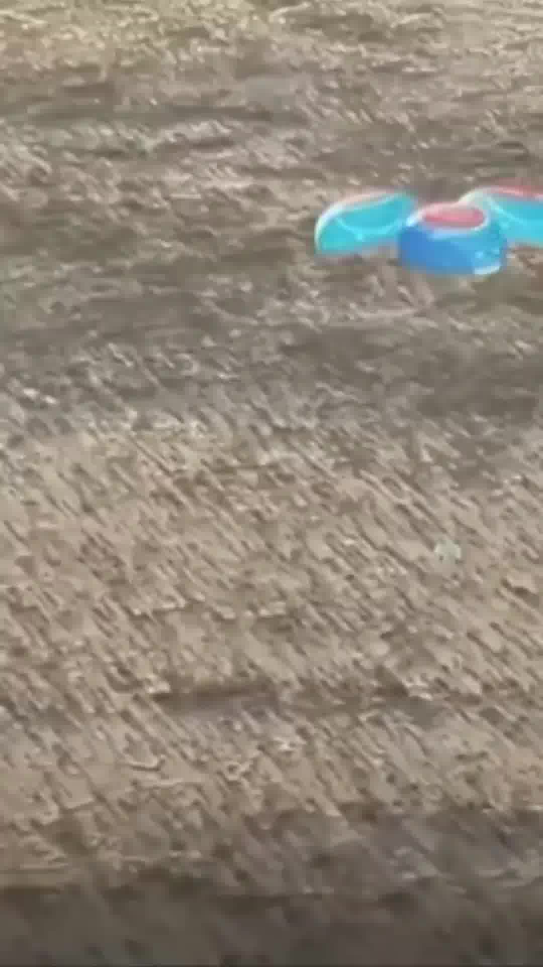 מיכאלה בנתהאוס הפכה לאדם הראשון על כיסא גלגלים שטס לחלל על גבי חללית של חברת בלו אוריג׳ין