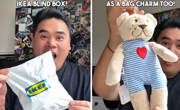 איקאה בליינד בוקס (צילום: טיקטוק)