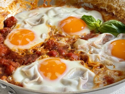 שקשוקה של אייל שני