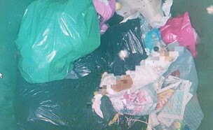 הכלב החולה שנזרק על ידי בעליו בן ה-70 לפח האשפה