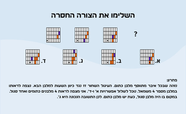חידת המלבן הסגול