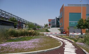 חלל ציבורי, מפעלי טבע. אדריכלות: כרמי מלמד  (צילום: יחסי ציבור)