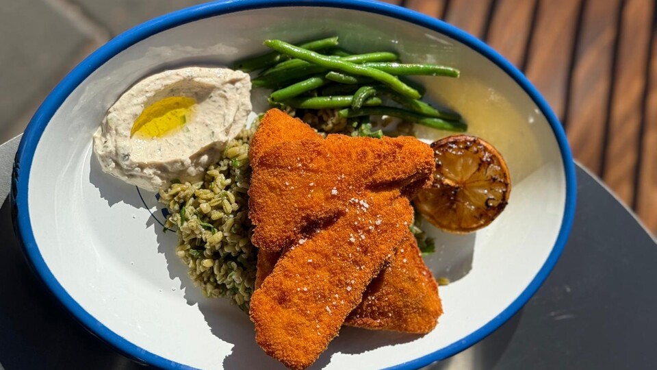 קריספי דג (צילום: לין לוי, mako אוכל)