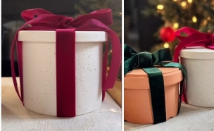 עטיפת עציץ לורלי זנדר (צילום: אינסטגרם)